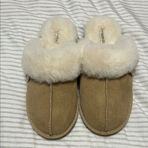 Fireside Women's Shearling Clog Mules in Chestnut